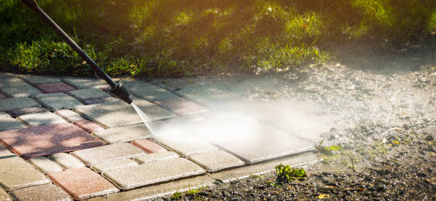 Best Animal Enclosure Cleaning  in Lynchburg, TN